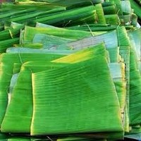 Feuilles de bananier de qualité supérieure – Naturelles, écologiques, grandes, vertes et saines // Mr.Tom