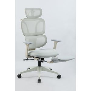 Sedia da Ufficio Ergonomica con Schienale Alto, Supporto Lombare Dinamico, Poggiatesta 2D, Braccioli 2D e Poggiapiedi - Product Image 5