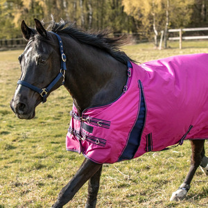 Couverture d'écurie imperméable en coton Ripstop pour chevaux noirs, sur mesure, haute qualité, pour dressage, légère, pour l'hiver et l'extérieur - Product Image 5