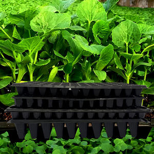 Plateau de semis en plastique durable, écologique, réutilisable et léger, 12 cellules, conception à racines profondes pour légumes et fleurs - Product Image 1