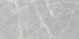 Carreaux de sol et de mur en porcelaine gris Castor, carreaux modernes mats et polis pour l'intérieur, pour la maison, le bureau, l'hôpital, 60x120 CM, 8,5 MM d'épaisseur - Product Image 4