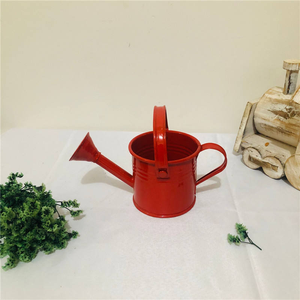 Ensemble d'arrosages en métal avec tête de pulvérisation détachable, arroseur de jardin en métal galvanisé coloré pour plantes d'intérieur et d'extérieur - Product Image 2