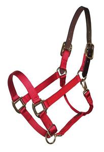 Cabestro de Nylon Marrón para Caballo, Ajustable y Acolchado, con Hebillas Negras y Anillas Metálicas - Product Image 2