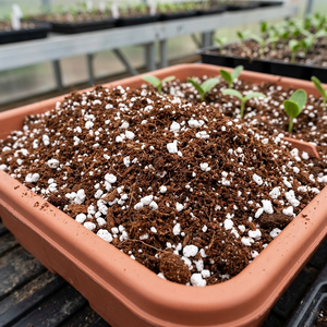 Cocopeat Perlite Mix For Nursery Trade - Blend Custom Packing Coco Peat Nursery Wholesalers India - Product Image 3