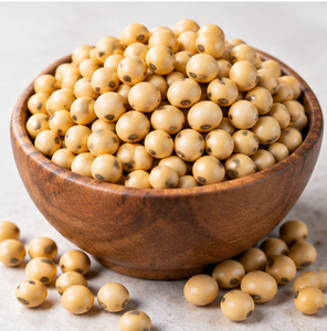 Grano de Soja India para Alimentación Animal, Proveedor y Exportador de Alimento para Ganado a Granel - Product Image 2