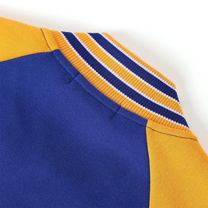 Premium SGRho Fleece Varsity Jacket Women Premium Zip Up Chenille Embroidery Greek Sorority University Style Varsity Jacket - Product Image 5