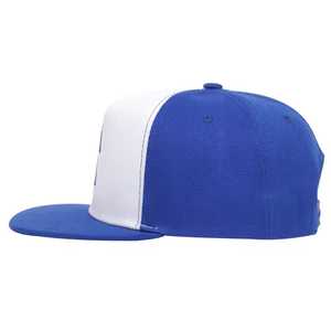 Casquette Snapback Unisexe Bleue et Blanche à Imprimé Arbre, Chapeau Décontracté d'Extérieur Respirant en Polyester et Coton, Broderie Personnalisée - Product Image 2