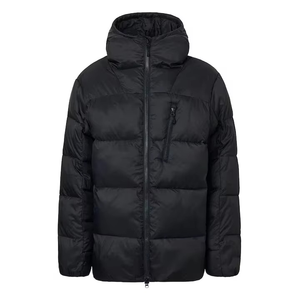 Veste matelassée à capuche pour homme, couleur unie, coupe-vent, rembourrée de duvet, hiver, décontractée, coupe régulière, fermeture éclair, coque en polyester épais - Product Image 1