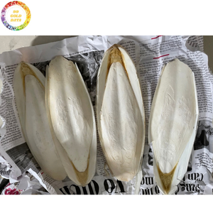 Os de Seiche Naturel Séché de Haute Qualité VF – Matériau à Mâcher Premium pour Cage de Perroquet, Budgie, Canaris, Pinson et Perruche - Product Image 5
