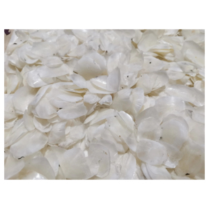 Écailles de poisson séchées pour la fabrication de produits nutraceutiques, ingrédients alimentaires fonctionnels et applications de compléments alimentaires - Product Image 5