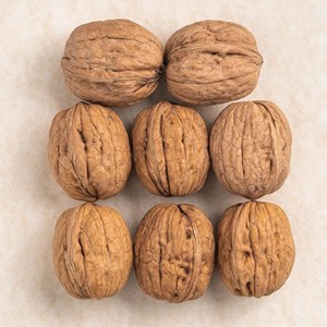 Nouvel arrivage : Noix biologiques de qualité supérieure en vrac, riches en protéines et minéraux, pour la fabrication alimentaire, marché de gros, sac économique, prix avantageux - Product Image 2