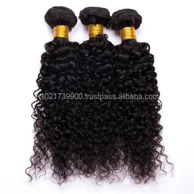 Raw Indian Remy Virgin Wavy Hair Directly From India Deep Curly Highlight Lace Front 100% Human Hair Wig 24 Inch Highlighted Wet