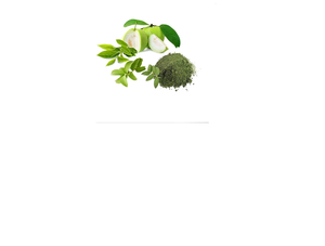 Extracto Seco de Hojas de Guayaba Premium, Ingrediente Herbal Derivado de Plantas, Ideal para Sazonar, Mezclas de Té y Alimentos Funcionales - Product Image 1