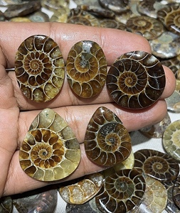 Cabochons en ammonites fossiles naturels de formes variées pour pendentifs et bagues en argent, et pierres fossiles de haute qualité en vrac pour l'exportation mondiale - Product Image 6