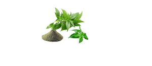 Extrait de Chirayta en poudre sèche, poudre fine naturelle utilisée dans les aliments fonctionnels, les boissons nutritives et les applications ayurvédiques - Product Image 1