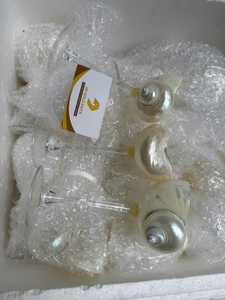 Fabricante de Copas de Concha Personalizadas Hechas a Mano, Copas de Vino de Concha, Copas de Martini de Concha - Product Image 2