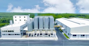 Two Red Tigers Lager <b>Beer</b> Vietnam Top Supplier 330ml Aluminum Tinned Can <b>Beer</b> - Product Image 4