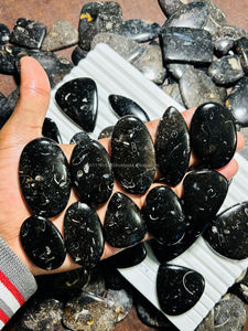 Cabochons de Jaspe Turritella 100% Naturels, Formes Mixtes, Pierres Semi-Précieuses en Gros, Pierres de Guérison Énergétique, Gemmes Libres pour Bijoux ASHU - Product Image 3