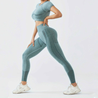 Service OEM Pantheraint, vêtements de fitness hautement élastiques, ensemble de vêtements de sport sans couture, leggings ajustés, ensemble deux pièces pour femmes, évacuation de l'humidité