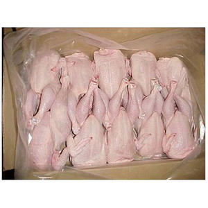 Pollo Asado Halal Congelado Premium, Carne de Pollo Jugosa para Compradores Mayoristas y Mercados Globales - Product Image 6