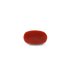 Natural Red Coral Oval Cabochon Loose Gemstone 8 Carat Certified Wholesale - Product Image 2