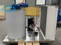 Machine à glace en flocons commerciale de 5 tonnes en acier inoxydable 304 de qualité alimentaire pour le refroidissement de la viande, des fruits de mer et des fruits sur les marchés de gros