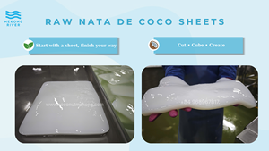 Mekong River White Coconut <b>Jelly</b> Nata De Coco Ball 1kg Ready to Use Low-Fat Fruity Vietnamese Direct Factory Manufacturer - Product Image 6