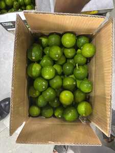 Limón/Lima frescos sin semillas para exportación: productos cuidadosamente seleccionados para garantizar la más alta calidad/Lima - Product Image 6