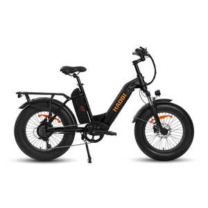 Vélo cargo électrique HEY-2 0 Antelope Dual Akku, cadre en aluminium 6061, moteur sans balais Shimano 7 vitesses, écran LCD S900 - Product Image 3