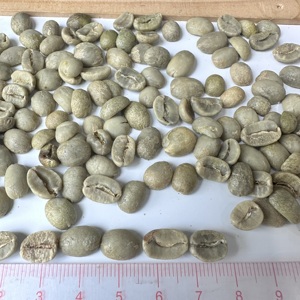 Granos de Café Verde Arábica Vietnamita SCR16 SCR18, Totalmente Lavados, Proveedor a Granel para Importadores y Tostadores de Café Italianos/ ANNA DO - Product Image 1