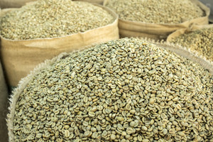 เมล็ดกาแฟโรบัสต้าเกรดพิเศษ ขนาด 18 สำหรับผู้ซื้อระหว่างประเทศ ขายส่งจำนวนมาก ได้รับการรับรองจาก USDA และ ISO คุณภาพสูง ปริมาณสั่งซื้อขั้นต่ำยืดหยุ่นได้ - Product Image 4
