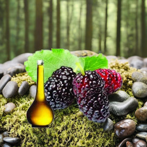 Huile essentielle de mûrier naturelle 100% pour qualité cosmétique et aromathéray disponible dans un emballage en vrac de 25kgs et 180kgs - Product Image 3