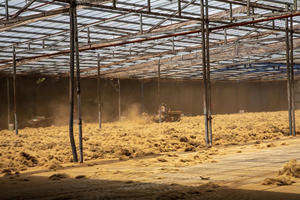 ใยมะพร้าวสำหรับยัดไส้ สีน้ำตาลทอง ทำความสะอาดแล้ว ความยาว 5-25 ซม. บรรจุเป็นมัด 100 กก. สำหรับใช้ในอุตสาหกรรม สำหรับยัดไส้ที่นอน - Product Image 6