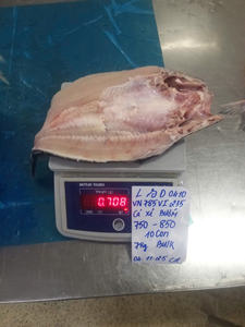 Filet de Pangasius Congelé Naturel avec/sans Peau, Qualité Export IQF du Vietnam, Style Papillon, Tailles 20-35, VH Food, Faible Teneur en Glucides - Product Image 1