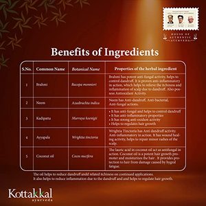 Aceite Capilar Anticaspa Kottakkal, Fórmula Herbal Ayurvédica para el Cuidado del Cuero Cabelludo, 150 ml - Product Image 5