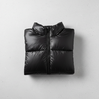 Veste matelassée pour homme, à capuche, imperméable, coupe-vent, personnalisable, OEM, vente en gros
