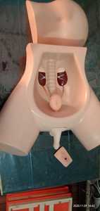 Medical Student Catheter Learning Simulator Designed for medical school labs Female Catheterization Demonstration <b>Trainer</b> - Product Image 4