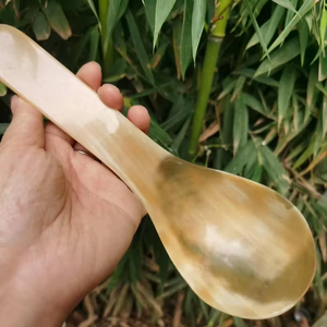 Cuchara de cuerno de vaca con mango pulido a espejo, nuevo diseño, cuchara de cuerno para servir en restaurantes, producto de alta calidad - Product Image 1