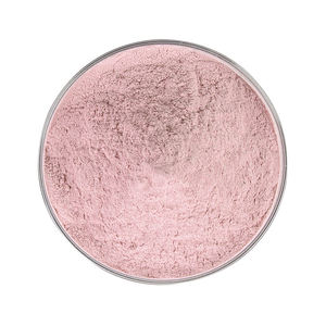100% Authentic Food Grade Pomegranate Powder Premium Quality Fruit Powder For Smoothies Beverage Mixes OEM ODM Bulk Supply - Product Image 3