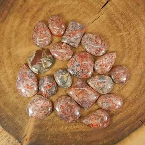 Lote al por mayor de gemas cabujón de hueso de dinosaurio natural rojo de calidad AA con formas mixtas, directamente de fábrica de AU - Product Image 3