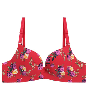 Sujetador Bralette Ajustable de Alta Calidad 2026, Sujetador Sin Costuras para Mujer, Ropa Interior con Efecto Push-Up - Product Image 4