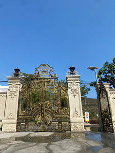 Eleve la elegancia de su propiedad con una puerta de hierro forjado de lujo que refleja elegancia y un estilo europeo atemporal. - Product Image 3