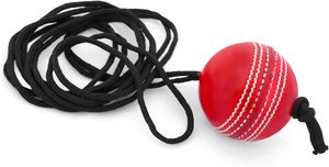 Willow Cricket Hanging <b>Ball</b> for <b>Bat</b> Knocking and Practice, 1 Hard <b>Ball</b> BY NAQQASH SPORTS - Product Image 5