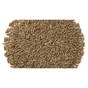 Graines de cumin indiennes de qualité export, doublement nettoyées, entières, de type Jeera Bold, à l'arôme intense, pour le commerce international - Product Image 1