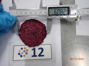 Fruta Seca Natural Dulce/Fruta Tropical Deshidratada en Empaque Individual o a Granel de Vietnam - Pey - Product Image 3