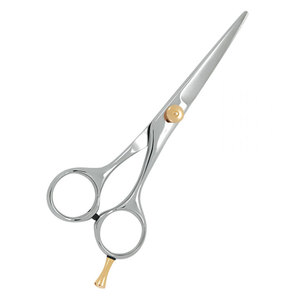 Ciseaux de Barbier Sur Mesure Argentés avec Vis de Réglage Dorée – Instruments de Beauté Élégants en Acier Inoxydable – Offre Spéciale - Product Image 2
