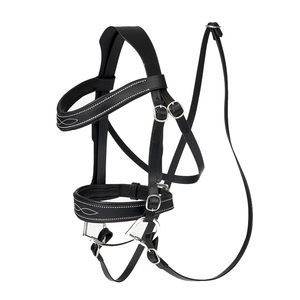 Bridon pour cheval d'équitation ANNABELLE avec rembourrage coloré personnalisable et cuir de qualité supérieure, fabriqué sur mesure - Product Image 1