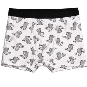 Sous-vêtements pour hommes de luxe, boxers grande taille pour hommes, boxers de créateur grande taille, sous-vêtements sexy pour hommes - Product Image 1