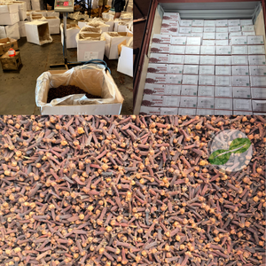 Clous de girofle séchés naturels biologiques Clove-AD Épices séchées Origine Sulawesi Marque Global Agro Komoditi 25kg Durée de conservation 2 ans Usine - Product Image 2