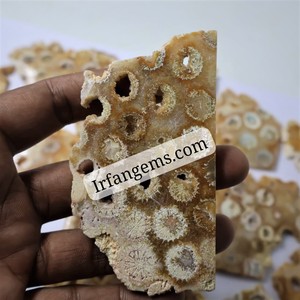Coral Fósil Natural Pulido en Rodajas, Piedras Preciosas Sueltas de Diferentes Formas y Tamaños, Cuarzo Curativo Semiprecioso, Lote al por Mayor - Product Image 1